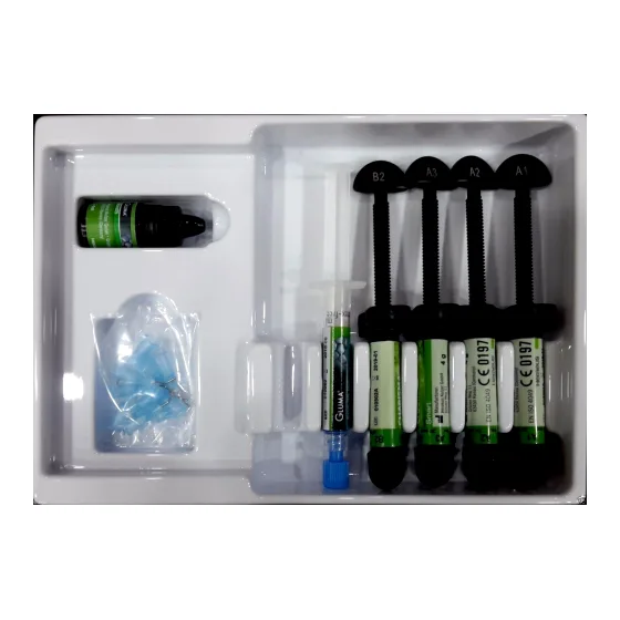 Kulzer Charisma Smart Composite 4 Syringe Kit