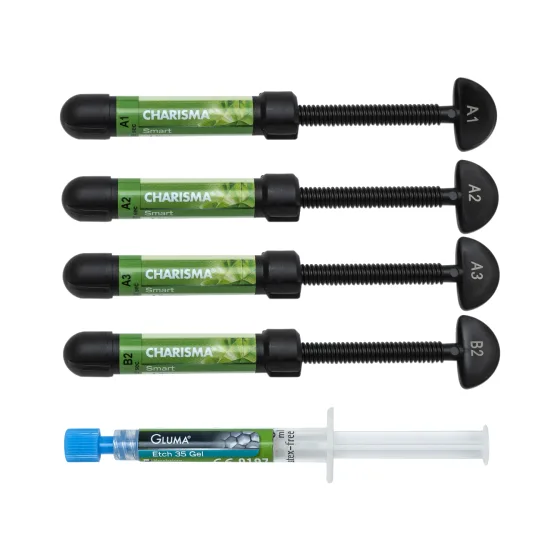 Kulzer Charisma Smart Composite 4 Syringe Kit